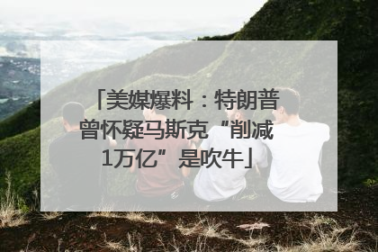 美媒爆料：特朗普曾怀疑马斯克“削减1万亿”是吹牛