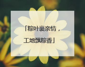 粽叶裹亲情，工地飘粽香