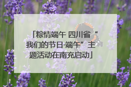 粽情端午 四川省“我们的节日·端午”主题活动在南充启动