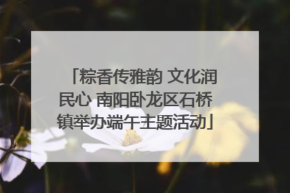 粽香传雅韵 文化润民心 南阳卧龙区石桥镇举办端午主题活动
