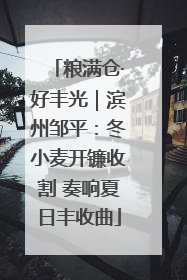 粮满仓·好丰光｜滨州邹平：冬小麦开镰收割 奏响夏日丰收曲