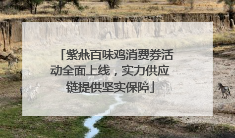 紫燕百味鸡消费券活动全面上线，实力供应链提供坚实保障