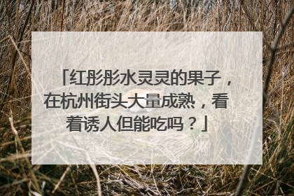 红彤彤水灵灵的果子，在杭州街头大量成熟，看着诱人但能吃吗？