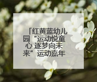 红黄蓝幼儿园“运动悦童心 逐梦向未来”运动嘉年华燃情举办