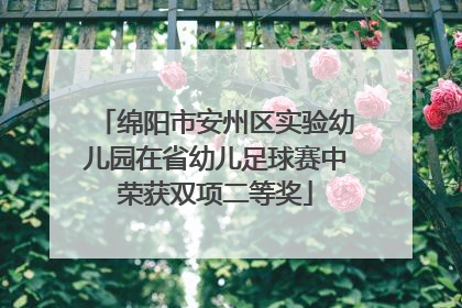 绵阳市安州区实验幼儿园在省幼儿足球赛中荣获双项二等奖