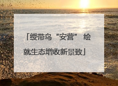 绶带鸟“安营” 绘就生态增收新景致