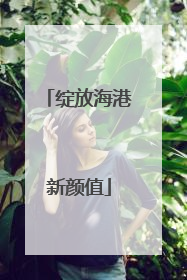 绽放海港新颜值