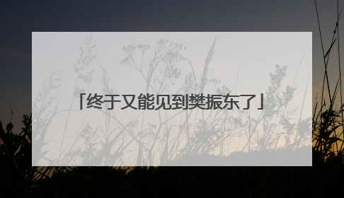 终于又能见到樊振东了