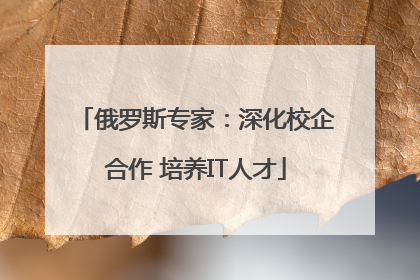 俄罗斯专家：深化校企合作 培养IT人才