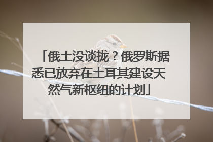 俄土没谈拢？俄罗斯据悉已放弃在土耳其建设天然气新枢纽的计划