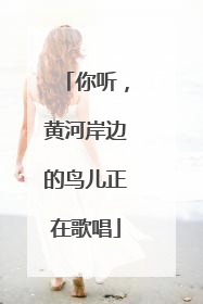 你听，黄河岸边的鸟儿正在歌唱