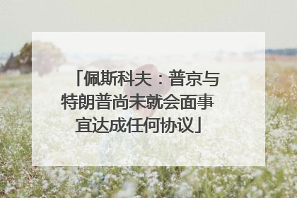 佩斯科夫：普京与特朗普尚未就会面事宜达成任何协议