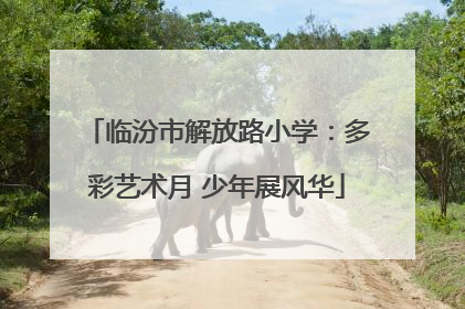 临汾市解放路小学：多彩艺术月 少年展风华