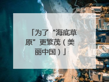 为了“海底草原”更繁茂（美丽中国）