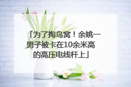 为了掏鸟窝！余姚一男子被卡在10余米高的高压电线杆上