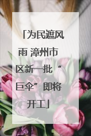 为民遮风雨 漳州市区新一批“巨伞”即将开工