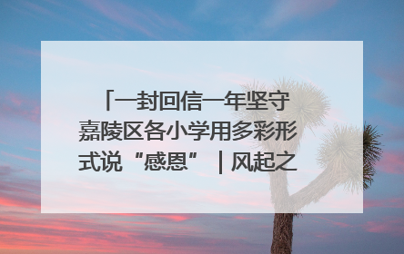 一封回信一年坚守 嘉陵区各小学用多彩形式说“感恩”｜风起之江 扶摇直上