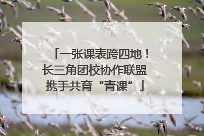 一张课表跨四地！长三角团校协作联盟携手共育“青课”