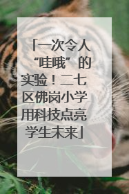 一次令人“哇哦”的实验！二七区佛岗小学用科技点亮学生未来