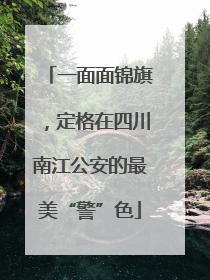 一面面锦旗，定格在四川南江公安的最美“警”色