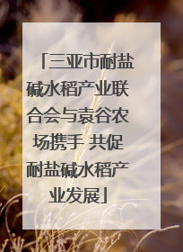 三亚市耐盐碱水稻产业联合会与袁谷农场携手 共促耐盐碱水稻产业发展