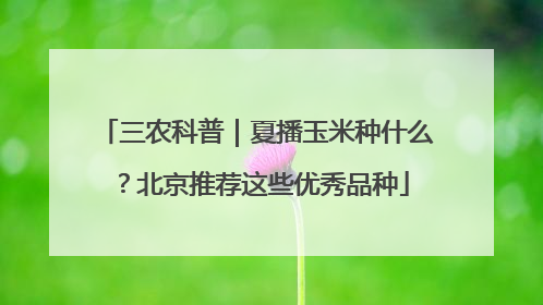 三农科普｜夏播玉米种什么？北京推荐这些优秀品种