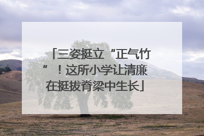 三姿挺立“正气竹”！这所小学让清廉在挺拔脊梁中生长