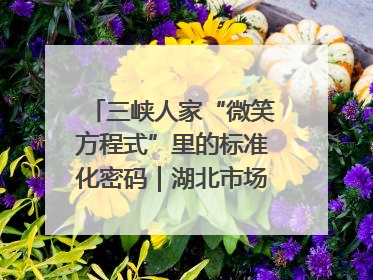 三峡人家“微笑方程式”里的标准化密码｜湖北市场监管所的故事