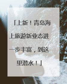 上新！青岛海上旅游新业态进一步丰富，到这里潜水！