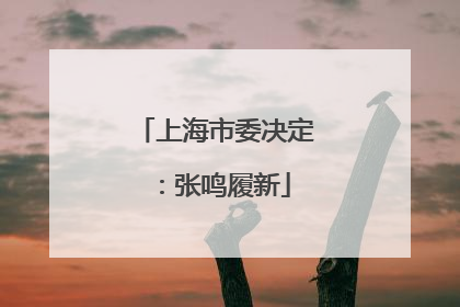 上海市委决定：张鸣履新