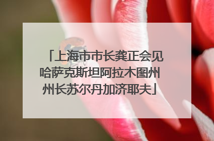 上海市市长龚正会见哈萨克斯坦阿拉木图州州长苏尔丹加济耶夫