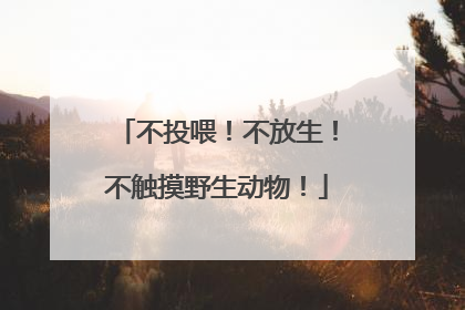 不投喂！不放生！不触摸野生动物！