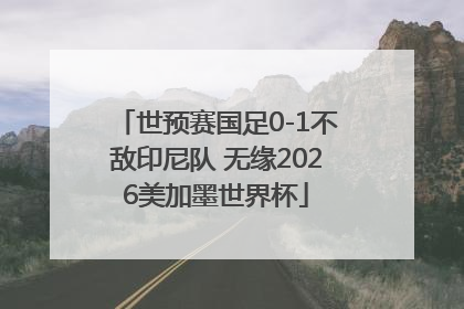 世预赛国足0-1不敌印尼队 无缘2026美加墨世界杯
