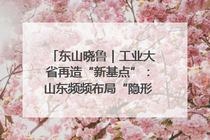 东山晓鲁｜工业大省再造“新基点”：山东频频布局“隐形冠军”背后