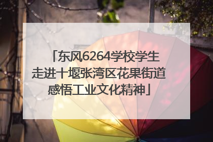 东风6264学校学生走进十堰张湾区花果街道感悟工业文化精神