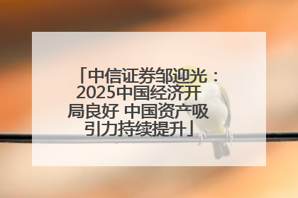 中信证券邹迎光：2025中国经济开局良好 中国资产吸引力持续提升
