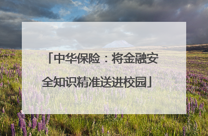 中华保险：将金融安全知识精准送进校园