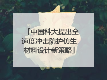 中国科大提出全速度冲击防护仿生材料设计新策略