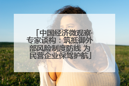 中国经济微观察·专家谈构：筑抵御外部风险制度防线 为民营企业保驾护航