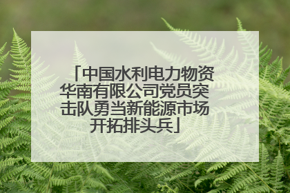 中国水利电力物资华南有限公司党员突击队勇当新能源市场开拓排头兵