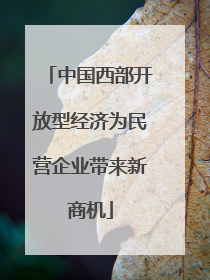 中国西部开放型经济为民营企业带来新商机