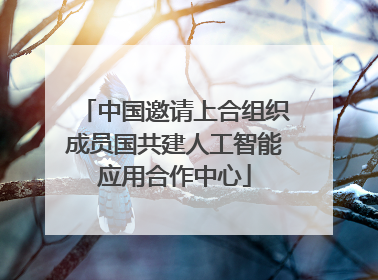 中国邀请上合组织成员国共建人工智能应用合作中心