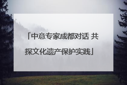 中意专家成都对话 共探文化遗产保护实践