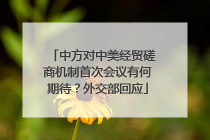 中方对中美经贸磋商机制首次会议有何期待？外交部回应