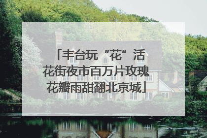 丰台玩“花”活 花街夜市百万片玫瑰花瓣雨甜翻北京城