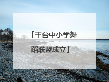 丰台中小学舞蹈联盟成立