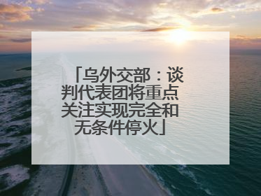 乌外交部：谈判代表团将重点关注实现完全和无条件停火