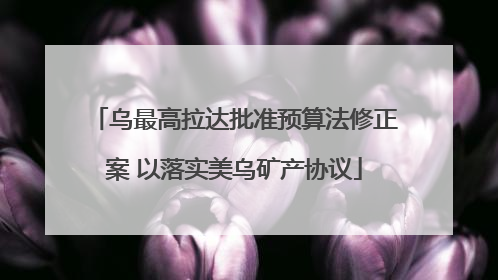 乌最高拉达批准预算法修正案 以落实美乌矿产协议