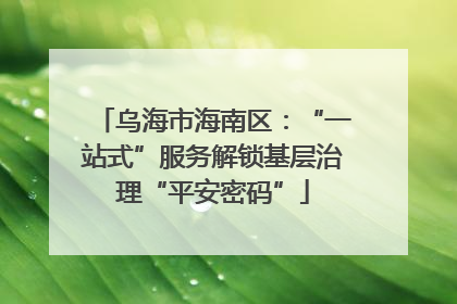 乌海市海南区：“一站式”服务解锁基层治理“平安密码”