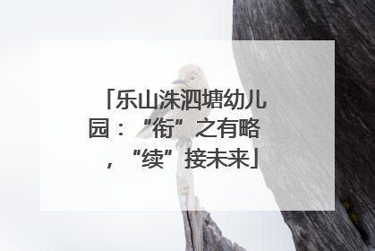 乐山洙泗塘幼儿园：“衔”之有略，“续”接未来